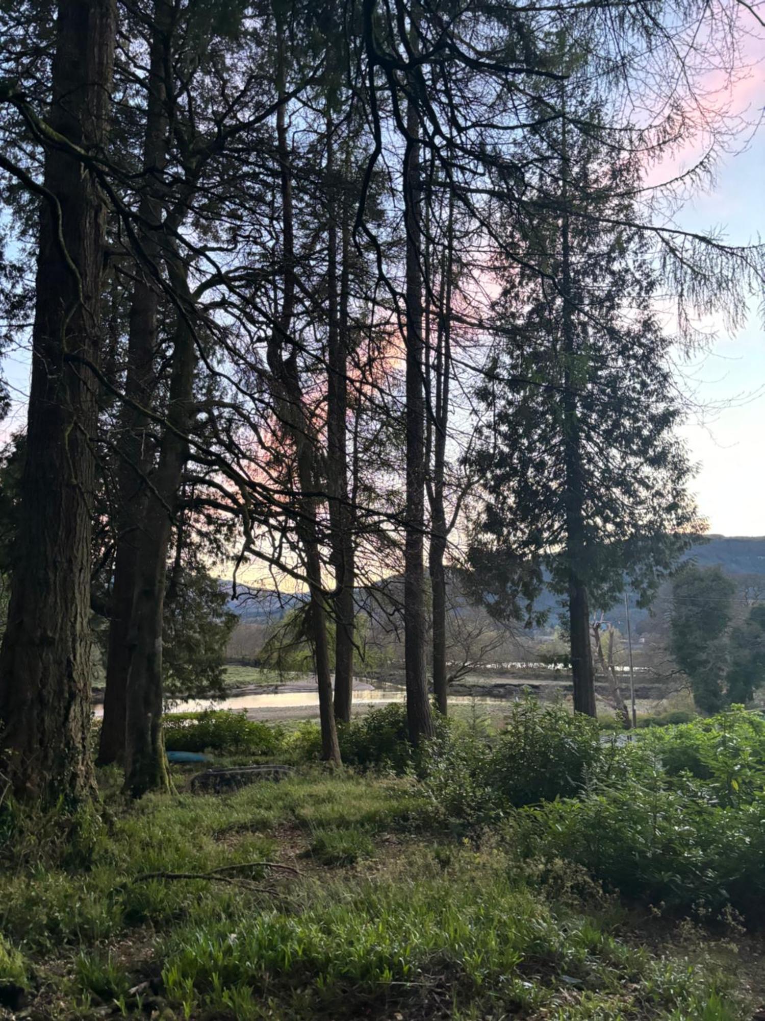 North Lodge Kilmun Dış mekan fotoğraf