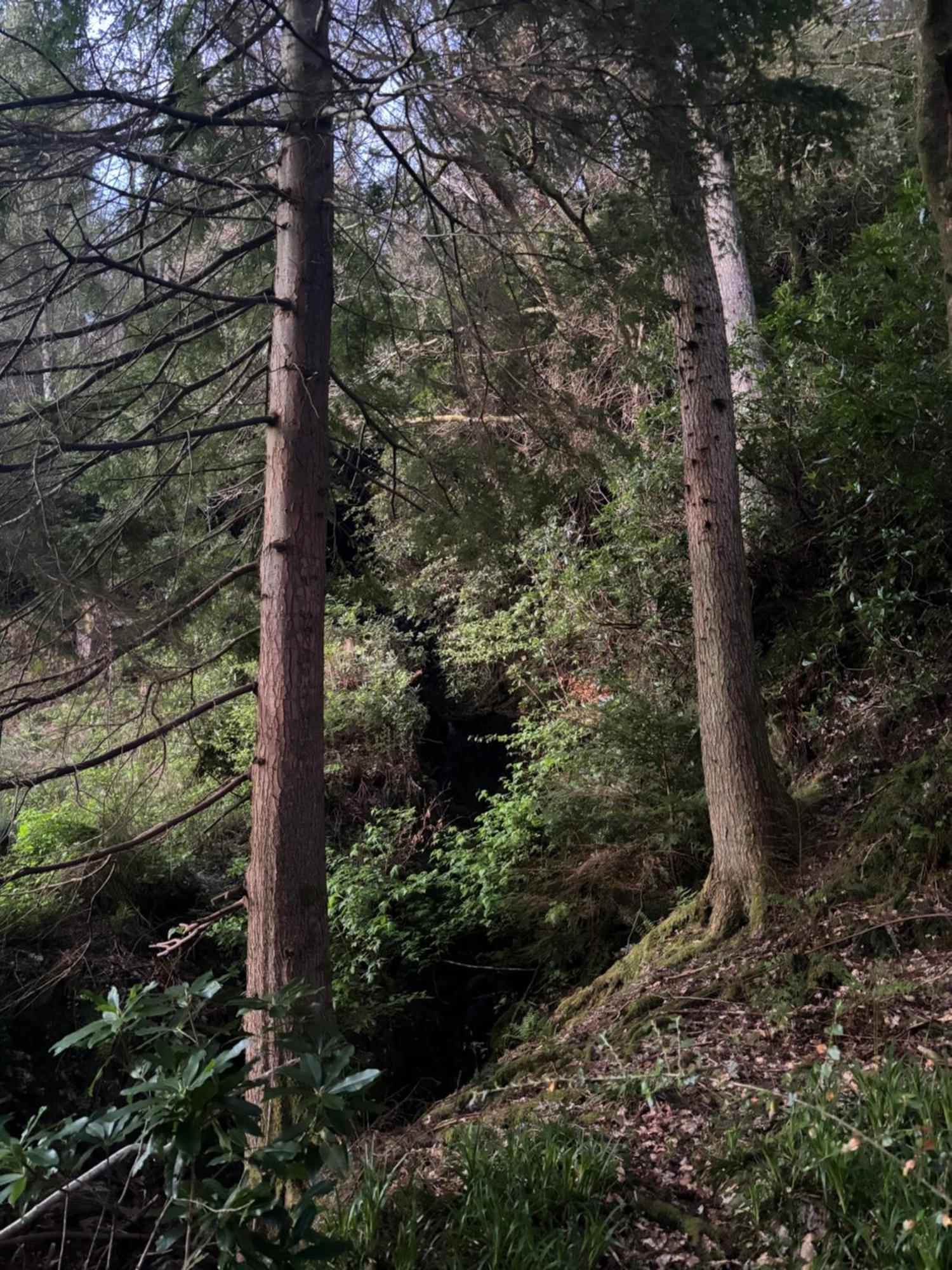North Lodge Kilmun Dış mekan fotoğraf